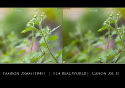 21-Real-World-Comparison