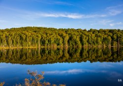 Nature in a Mirror (Tamron SP 35mm F1.4 F045)