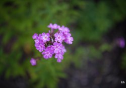 28-Bokeh-2