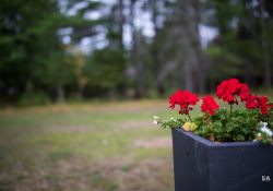 28-Bokeh-3