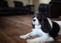 28-Bokeh-4