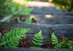 28-Bokeh-6