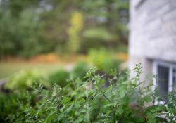 28-Bokeh-8