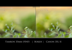 29-Bokeh-Comparison