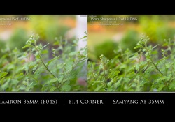 33-Samyang-Center-2