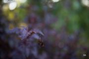 F045-Samples-15