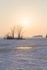Landscape Samples-3