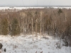 Rokinon f11 Crops-2