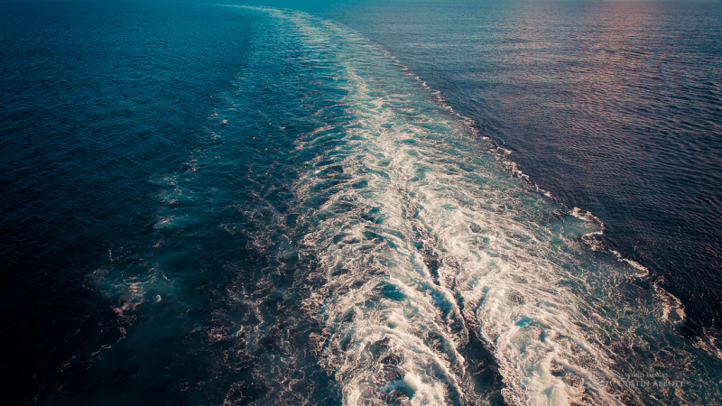 All That You Leave Behind