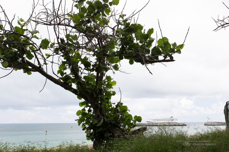 The-Caribbean-7
