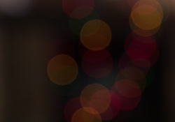 Tamron Bokeh-2.jpg