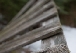 Tamron Bokeh Samples-2.jpg