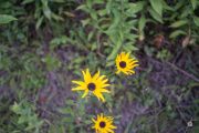 39-Gallery-4-of-18