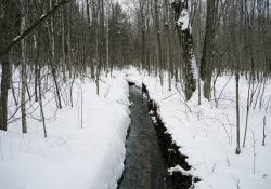 Simera-35-Samples-43