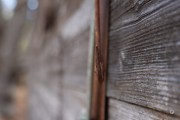 46-Gallery-15-of-20