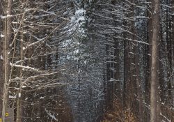34-Landscape