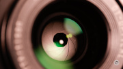 07-Iris-1