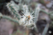 16-Gallery-11
