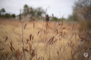 16-Gallery-13