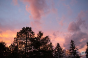 16-Gallery-17