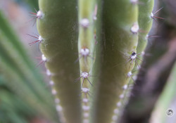 16-Gallery-4