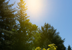 29-Flare-2
