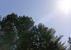29-Flare-3