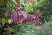 36-Gallery-10