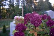 36-Gallery-12