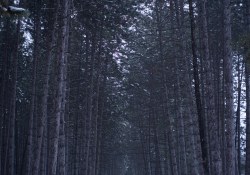 Samples-26