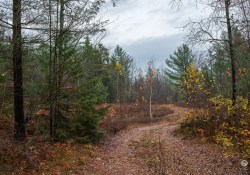 35-Landscape-1