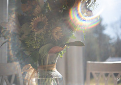 42-Flare-2