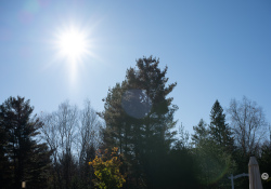42-Flare-4