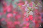 Tamron 70-200 G2-2