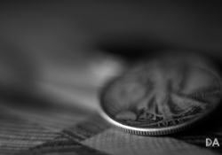 Vello Macro Adapter-37