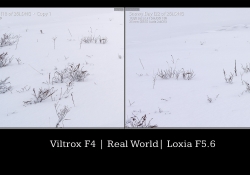 27 Loxia Comparison RLeft Corner
