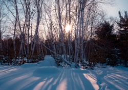 28 Landscapes-12