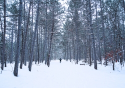 Winter Cycling (Viltrox 20mm F1.8)