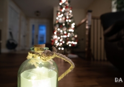 32 Bokeh-2