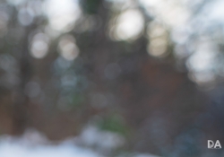 32 Bokeh-8