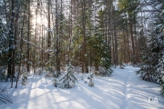 Winter Fun-10