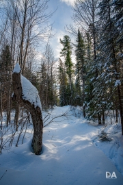 Winter Fun-11