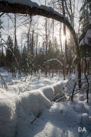 Winter Fun-14