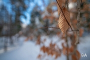 Winter Fun-15