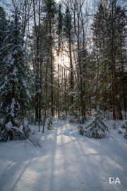 Winter Fun-9