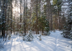 Winter Fun-10