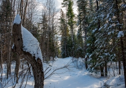 Winter Fun-11