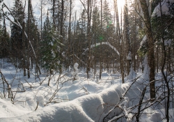 Winter Fun-14