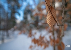 Winter Fun-15