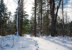 Winter Fun-17